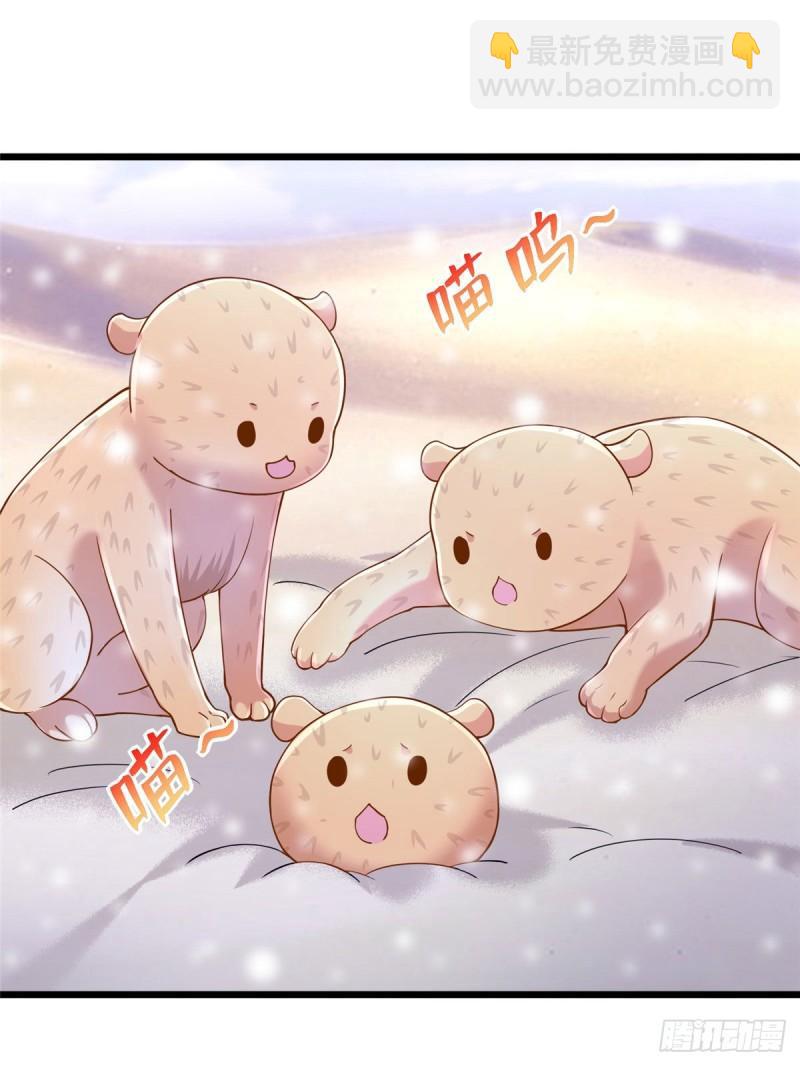 26135