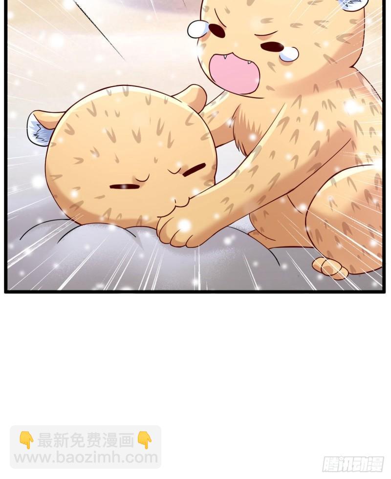 26144