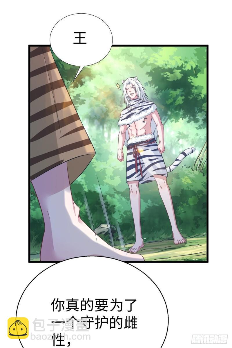 28426