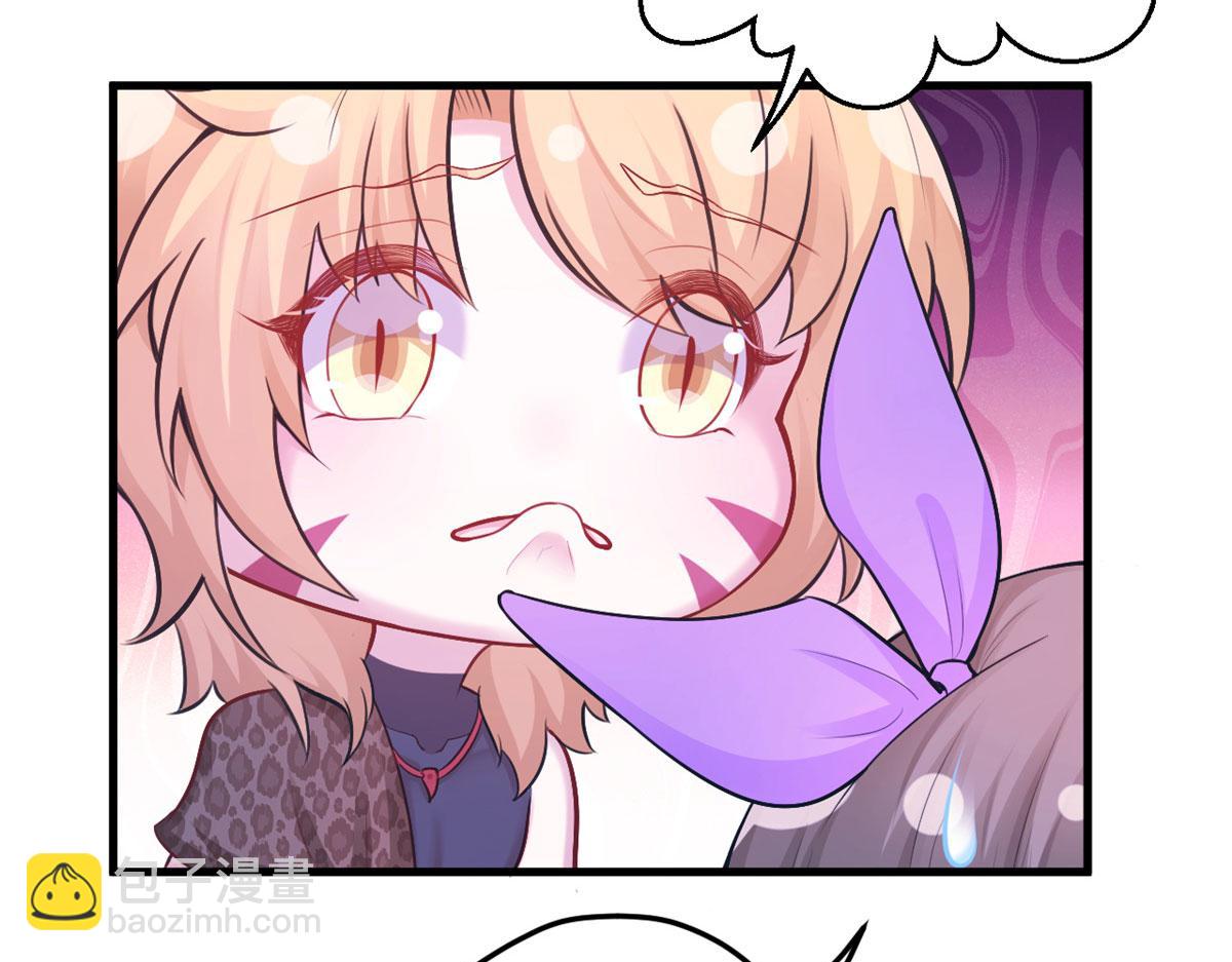33596
