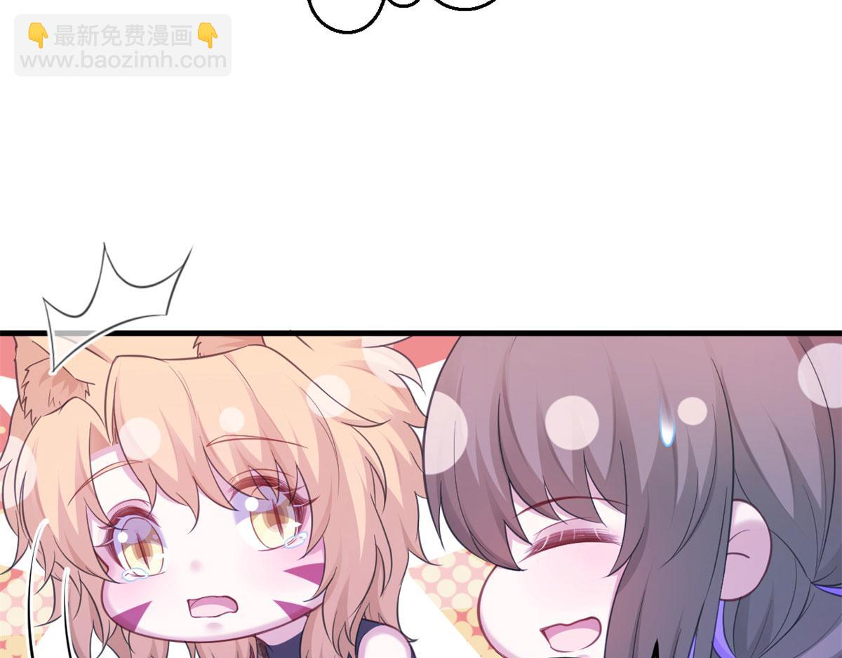 33626