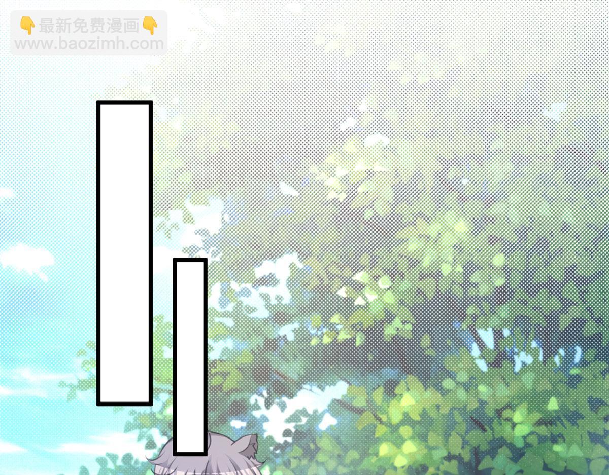 33778