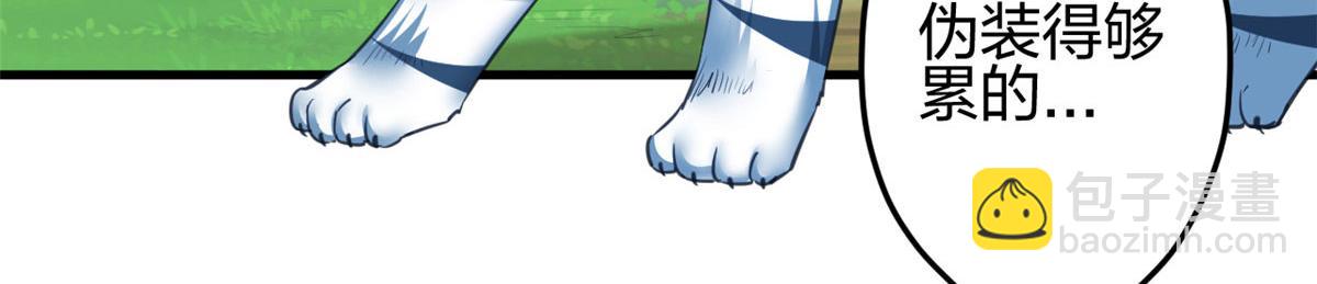 35565