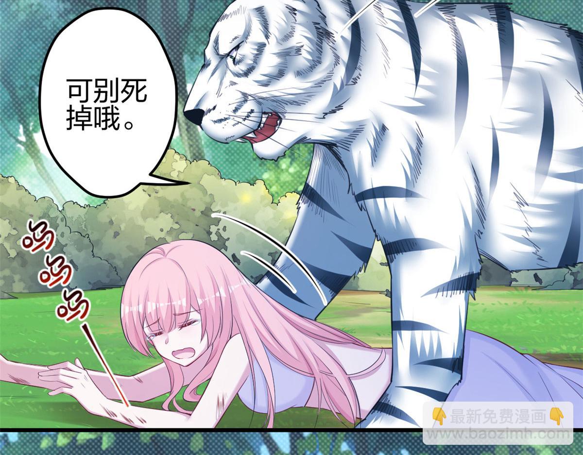 35584