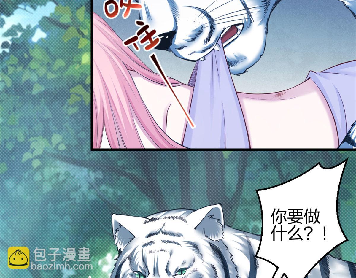 35586