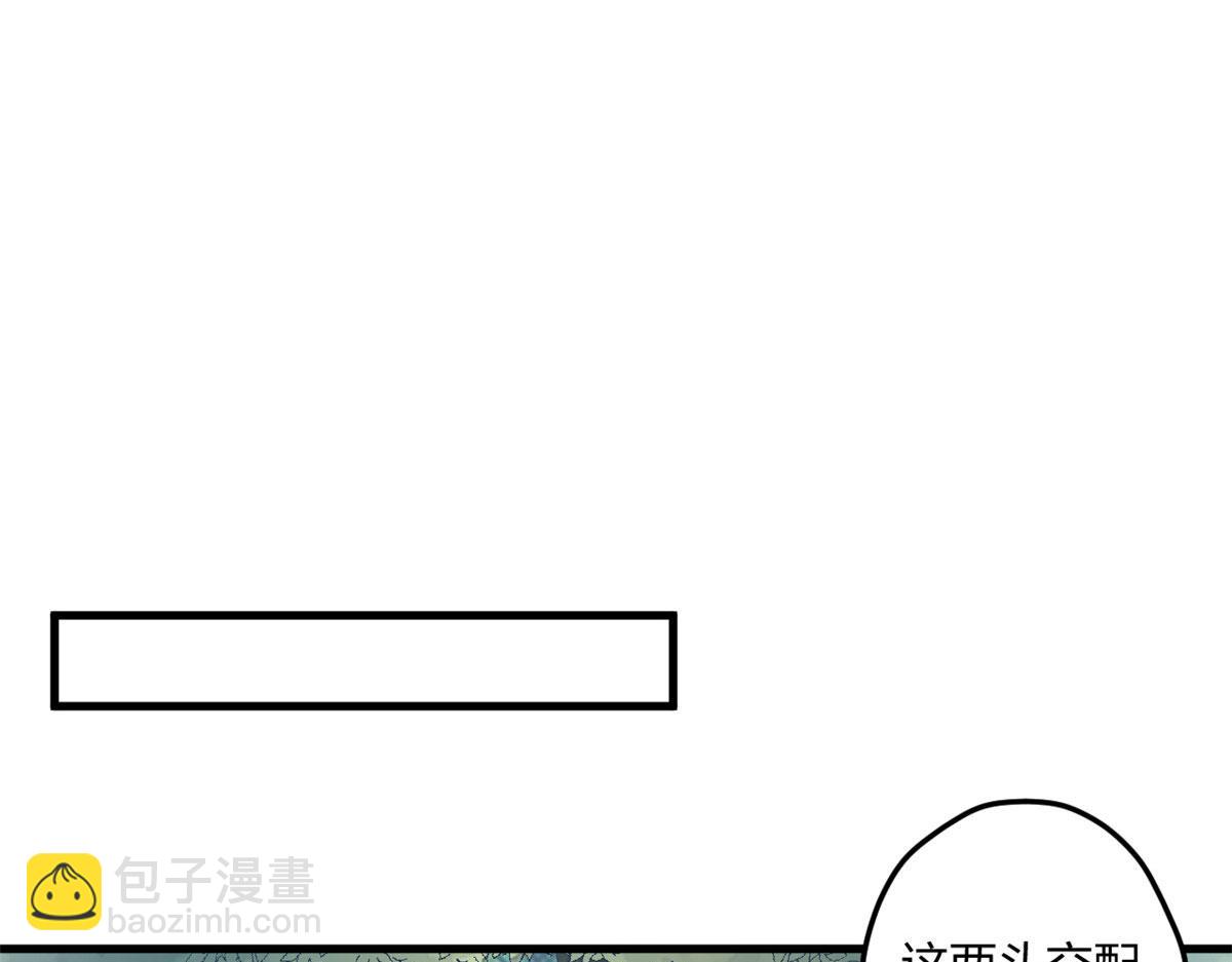 40244