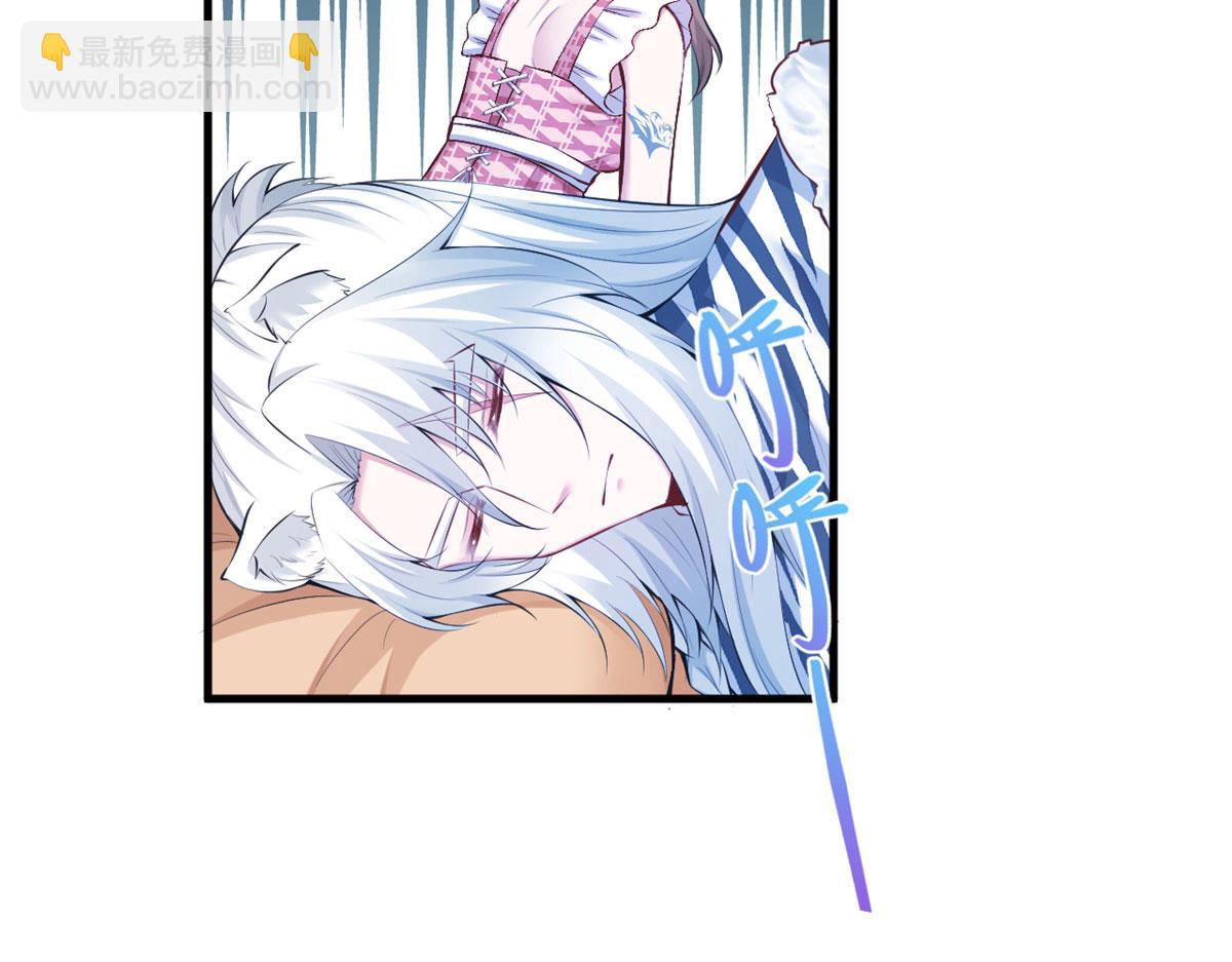 40566