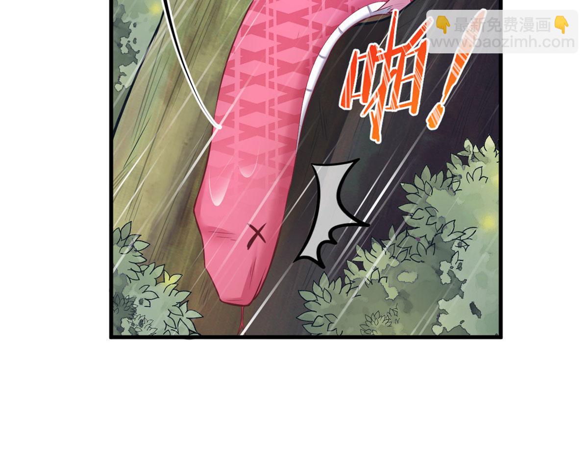 41295