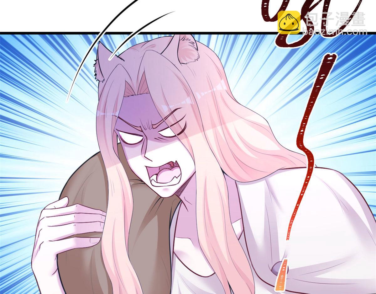 41561