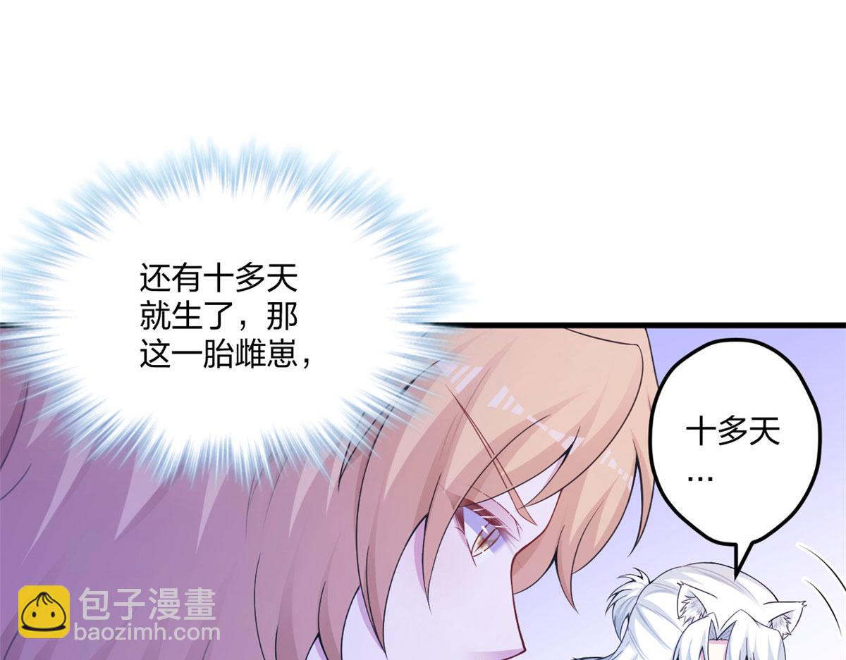 41661
