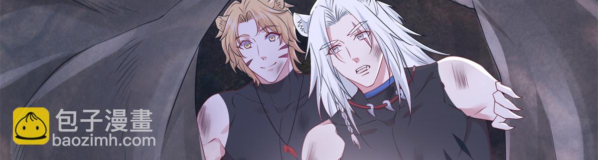 427114
