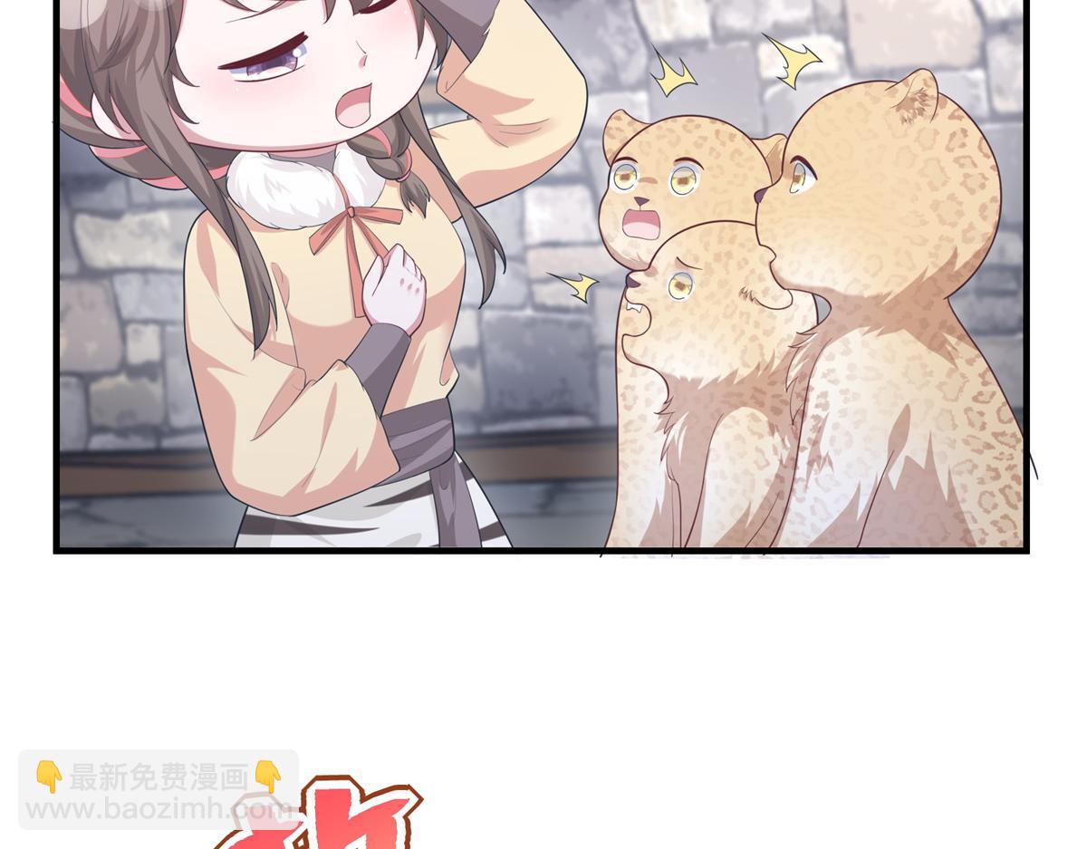 42728