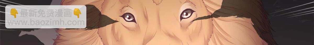 43763