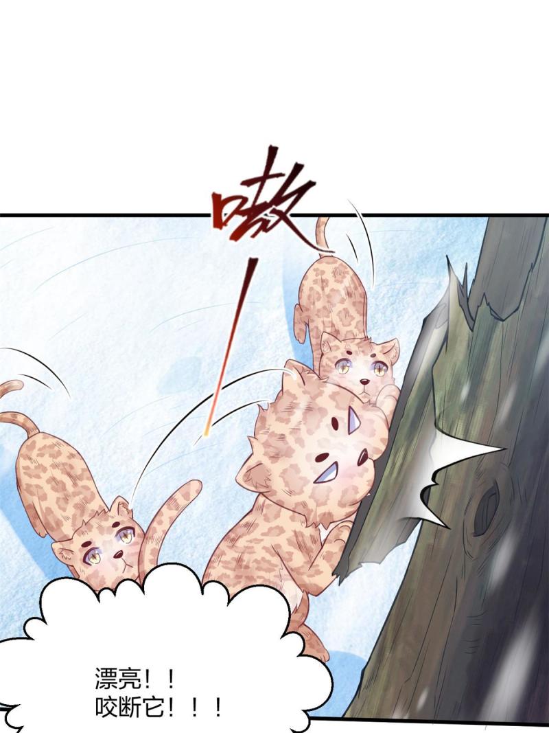 44313