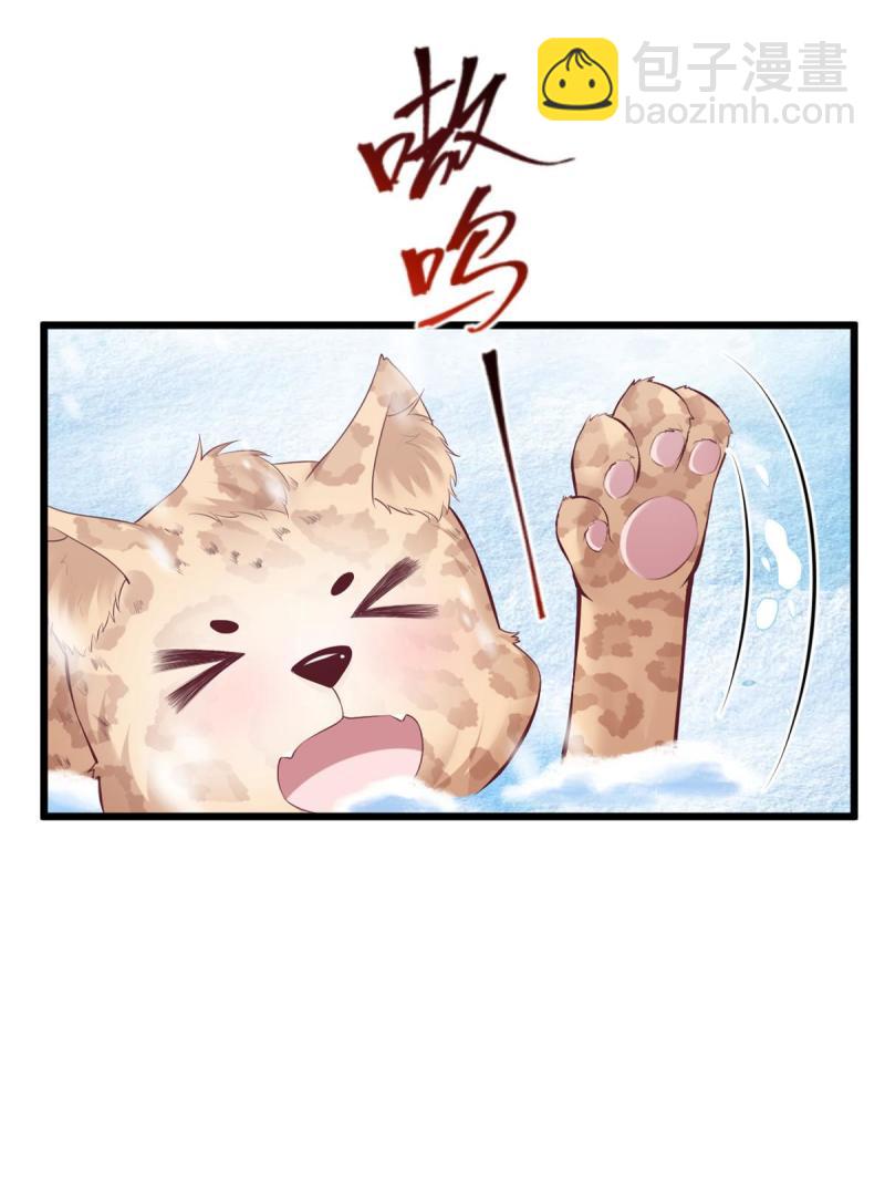 44421