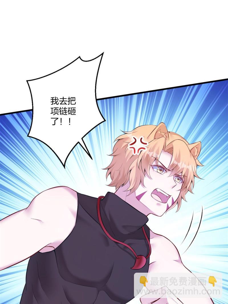 45540