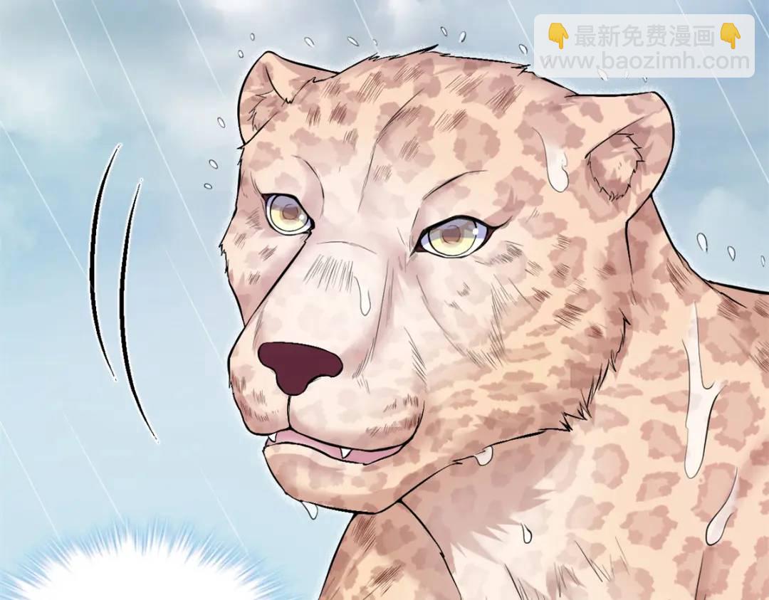 45927