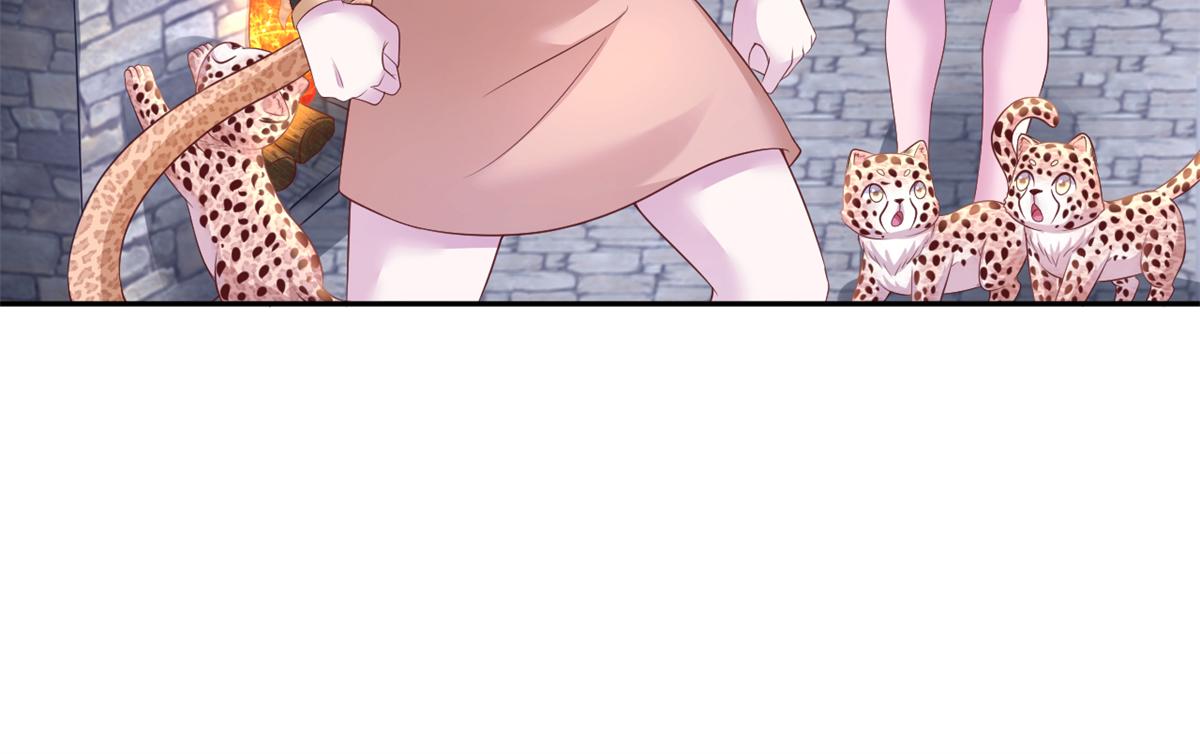 67313