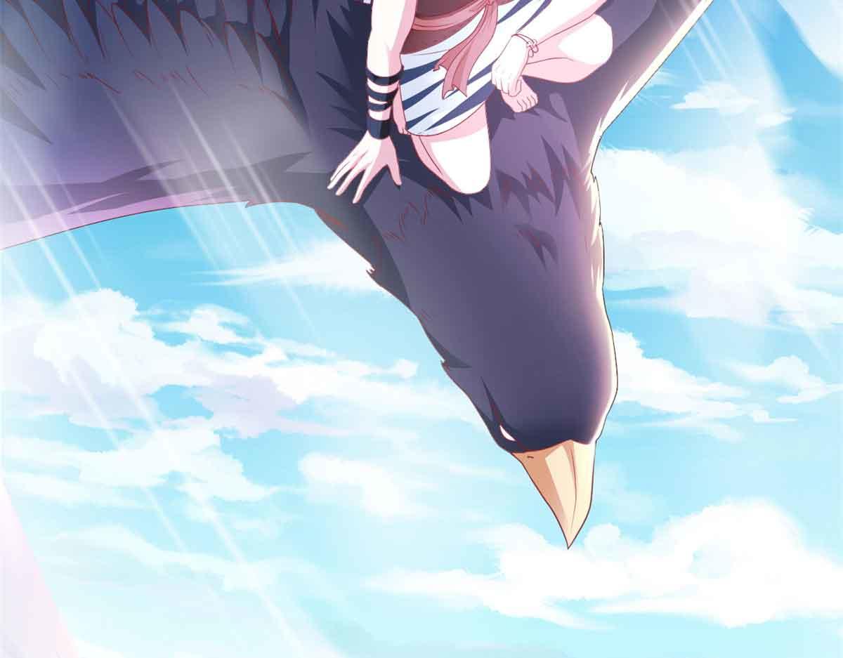 6763