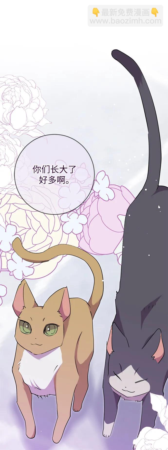 第51话38