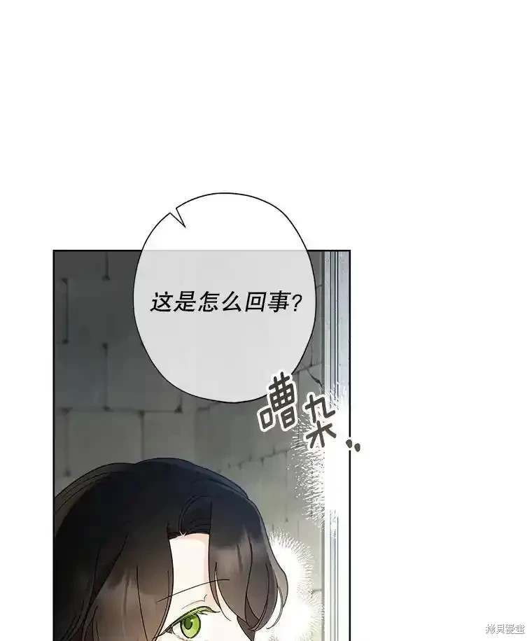 第109话81