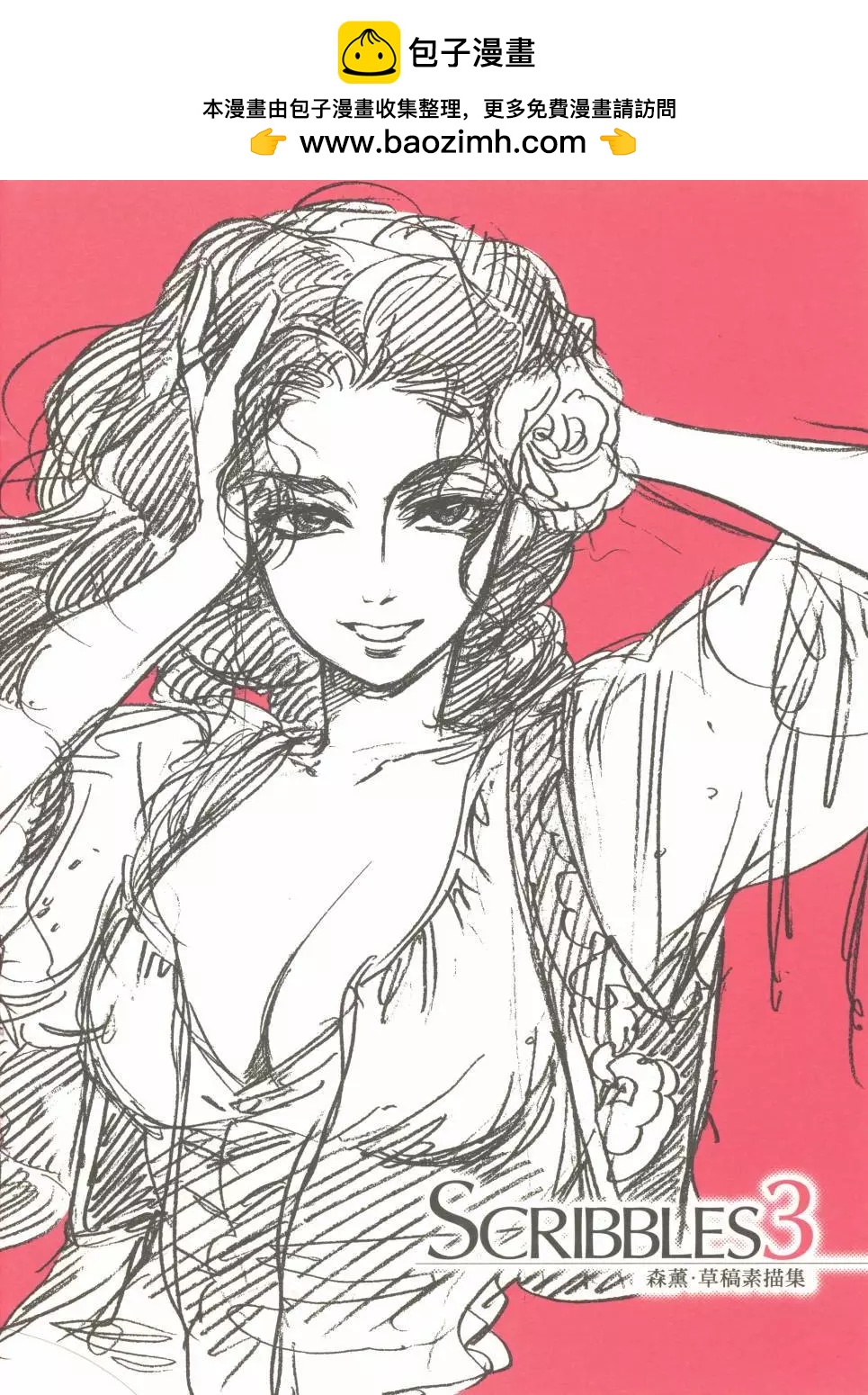 SCRIBBLES 031