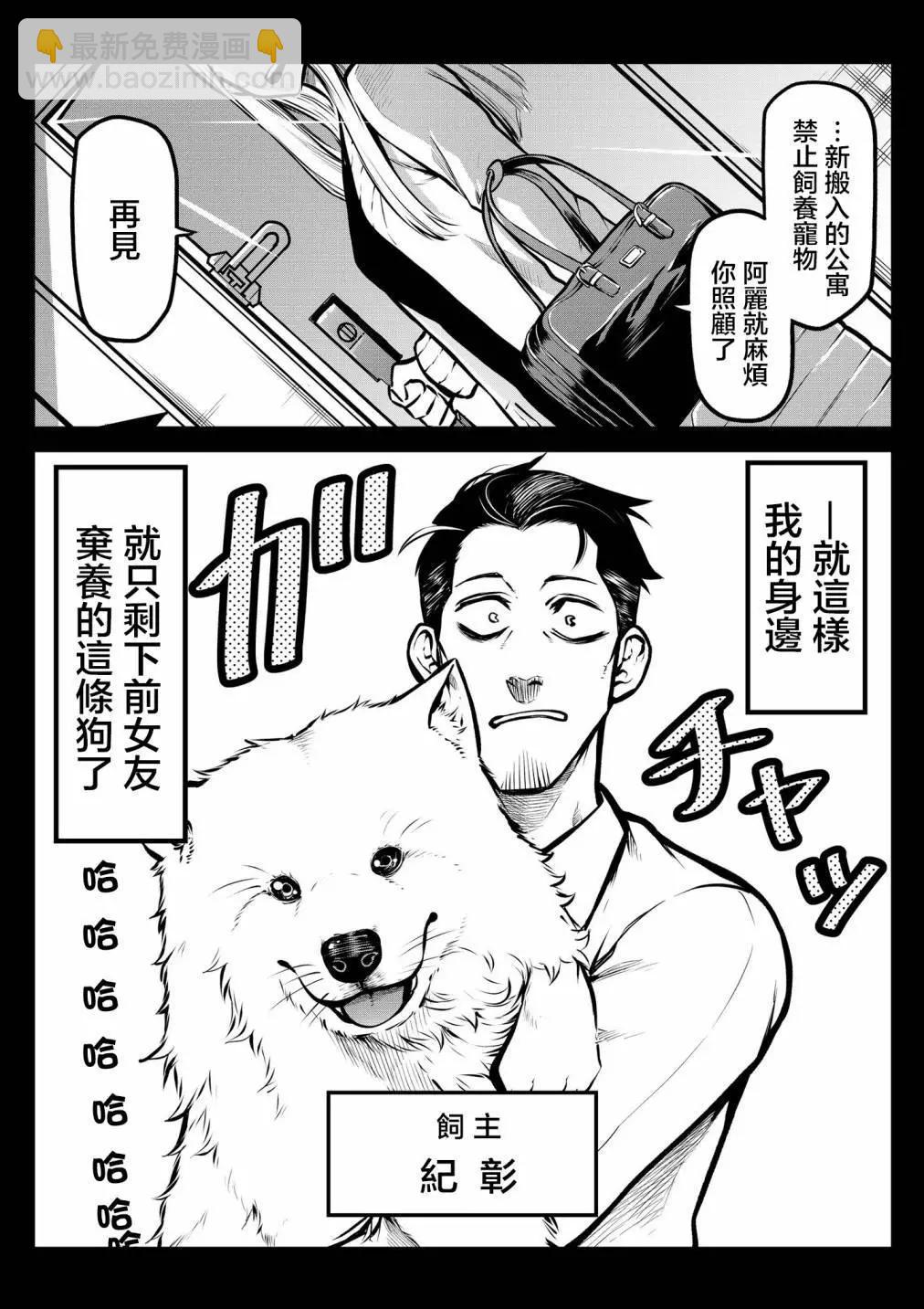 萨摩耶前篇2