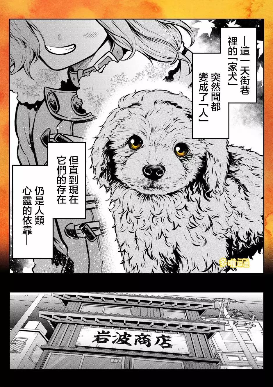 玩具贵宾犬篇0