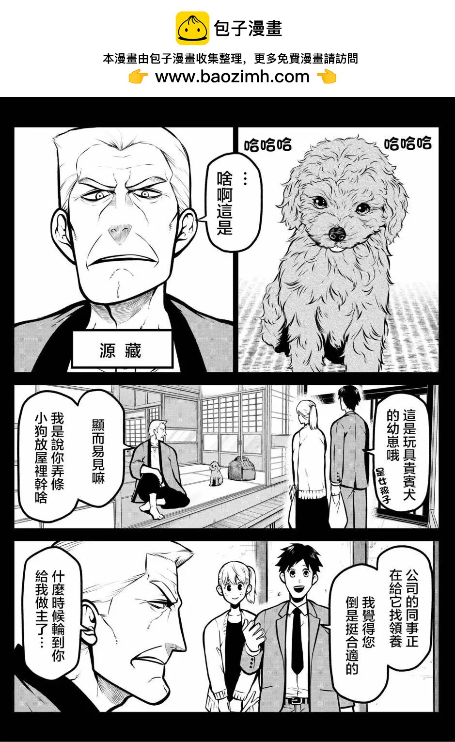 玩具贵宾犬篇1