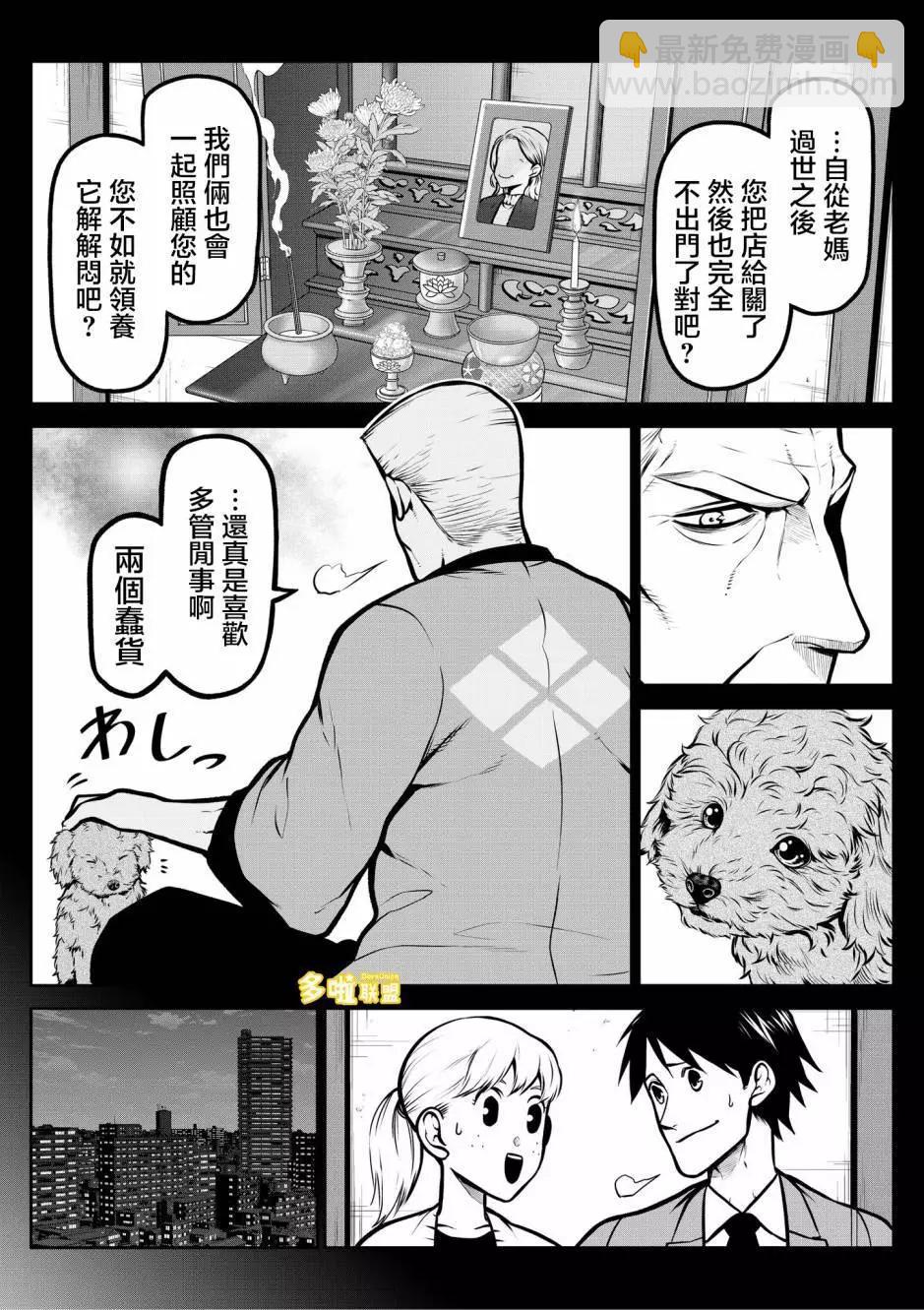 玩具贵宾犬篇2