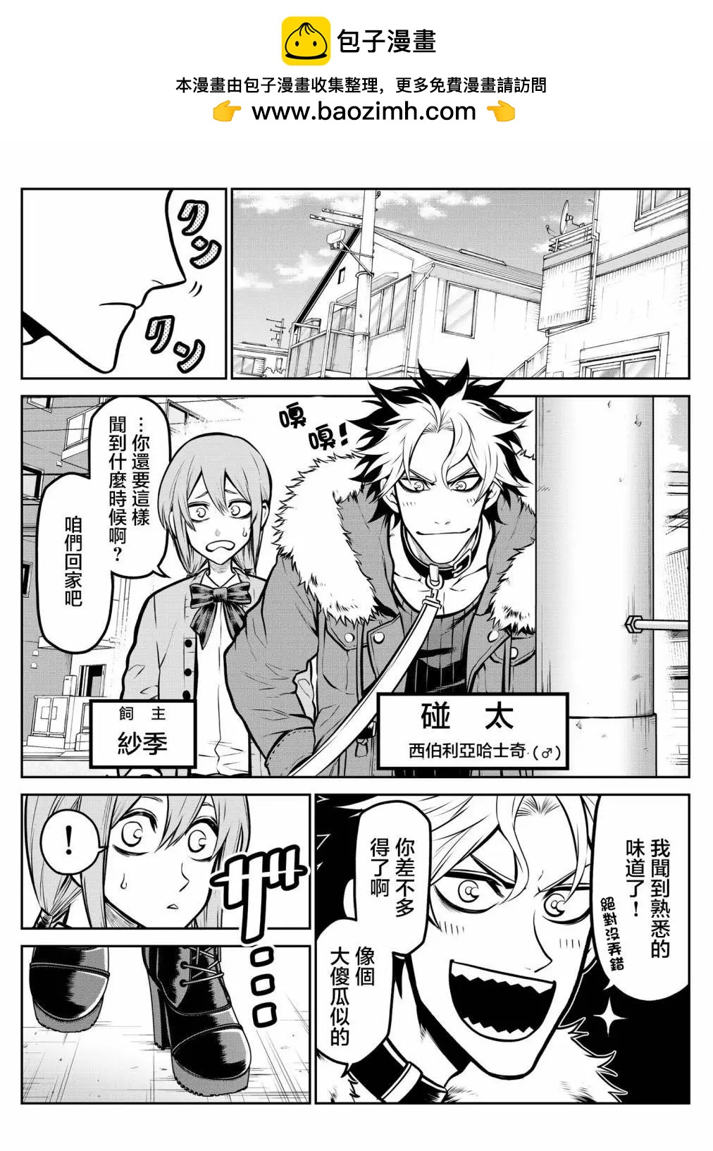 哈士奇酱篇1