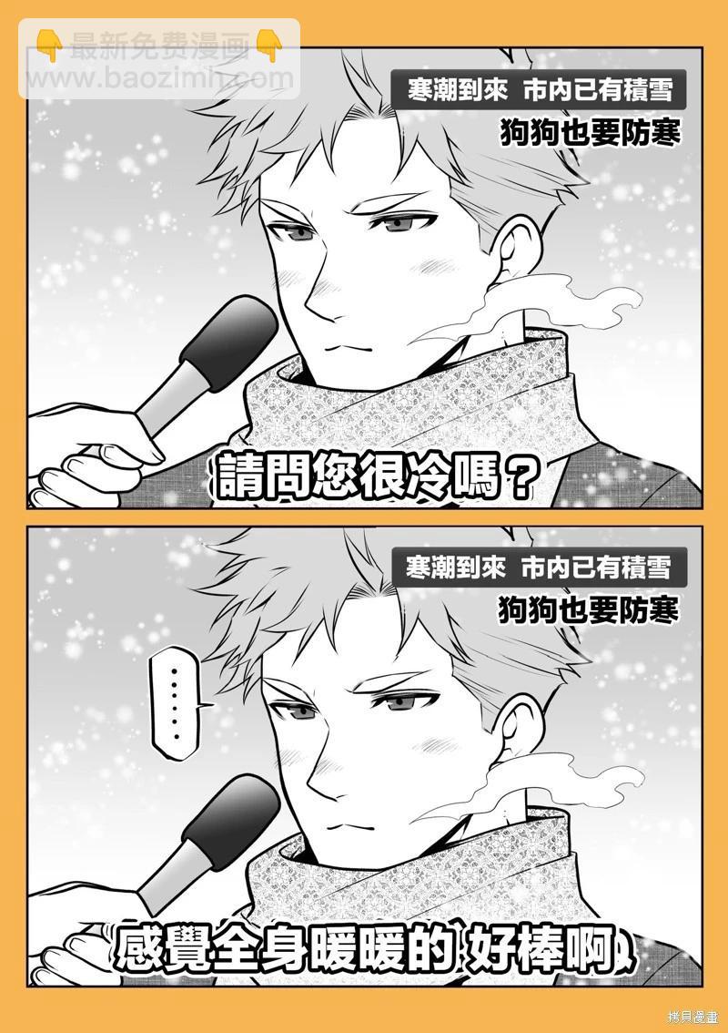 哈士奇很聪明篇10
