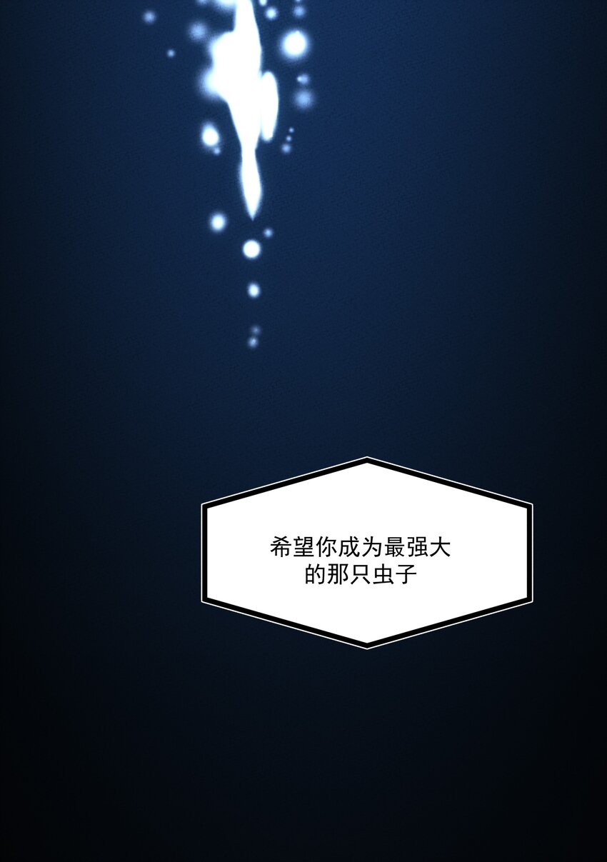 216 你仔细看36
