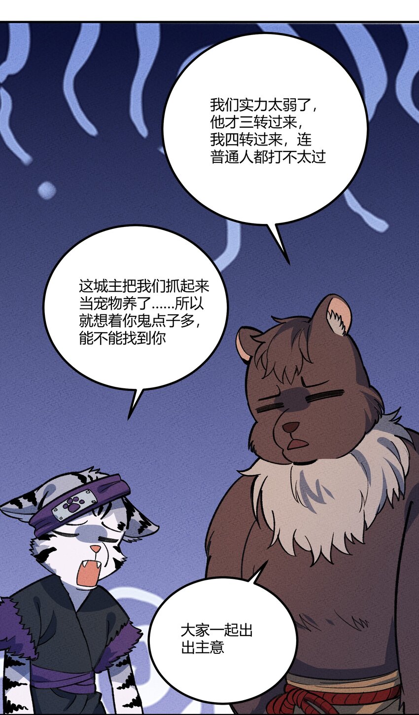233 一网打尽39