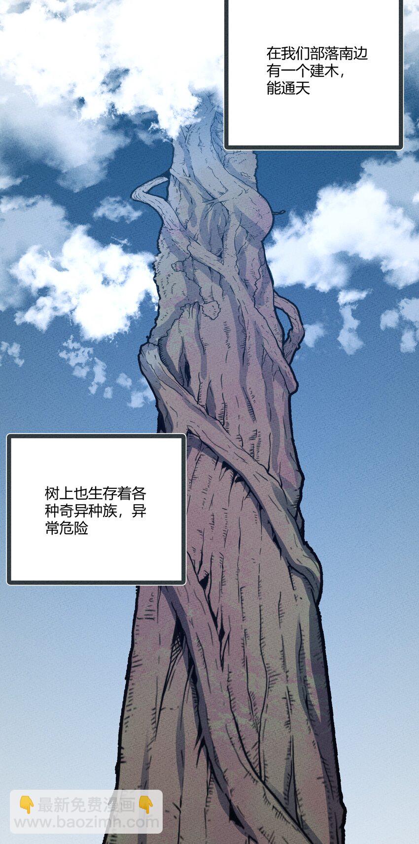 246 建木29
