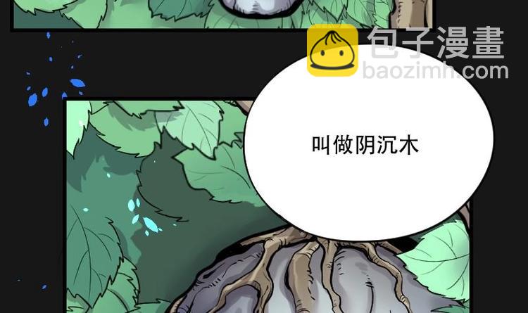 第12话 阴沉木 310