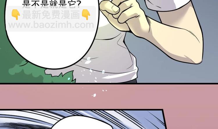 第12话 阴沉木 316