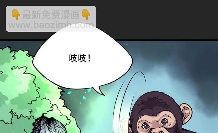 第12话 阴沉木 321