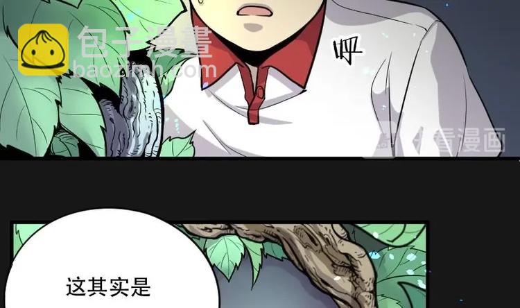 第12话 阴沉木 38