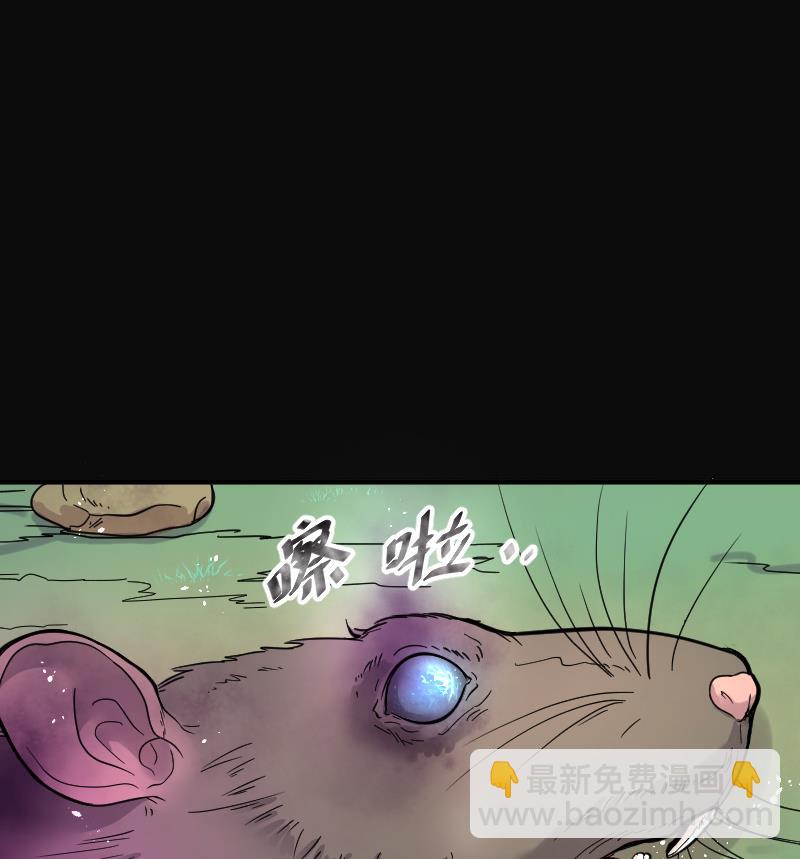 第61话 养阴棺 638