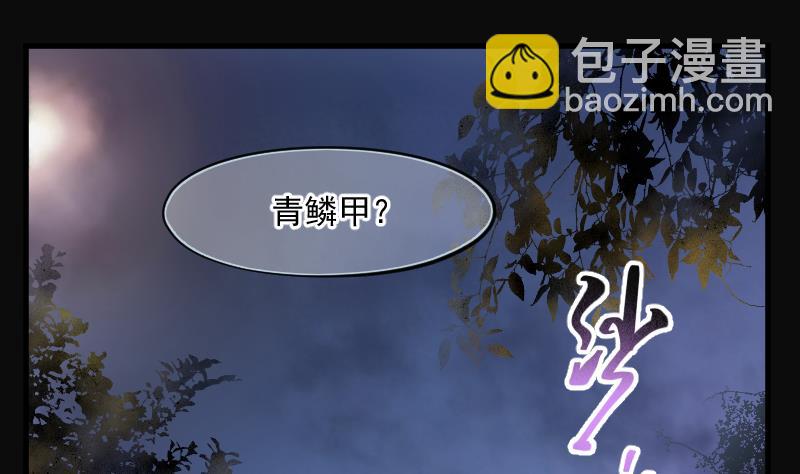第195话 青鳞甲 31