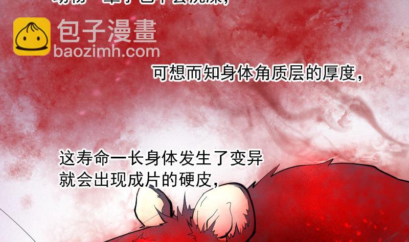 第195话 青鳞甲 311