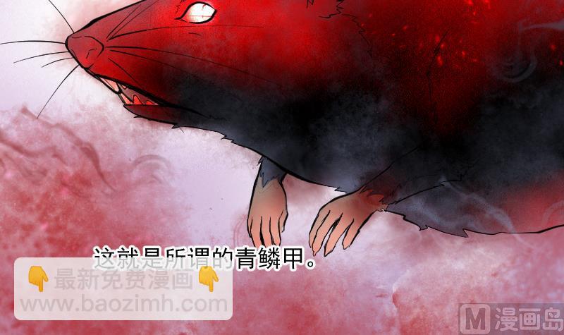 第195话 青鳞甲 312