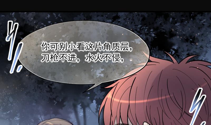 第195话 青鳞甲 314