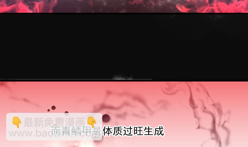 第195话 青鳞甲 323