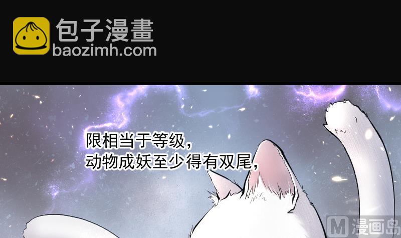 第195话 青鳞甲 342