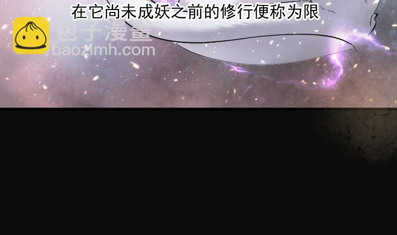 第195话 青鳞甲 344