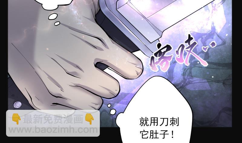 第203话 青水古鳐 241