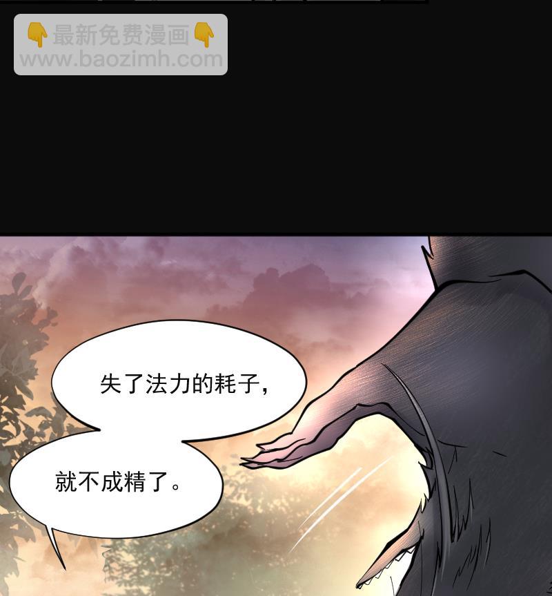 第207话 红娘子 365