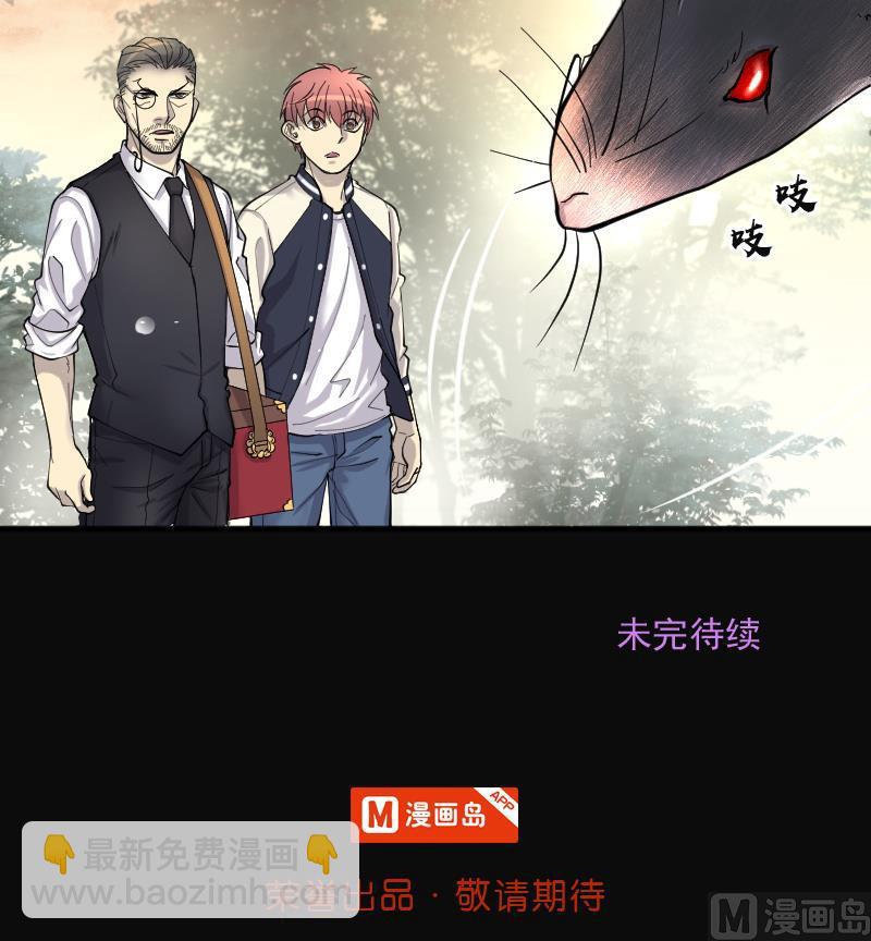 第207话 红娘子 366